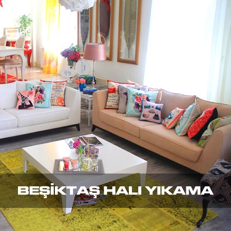 Beşiktaş Koltuk Yıkama