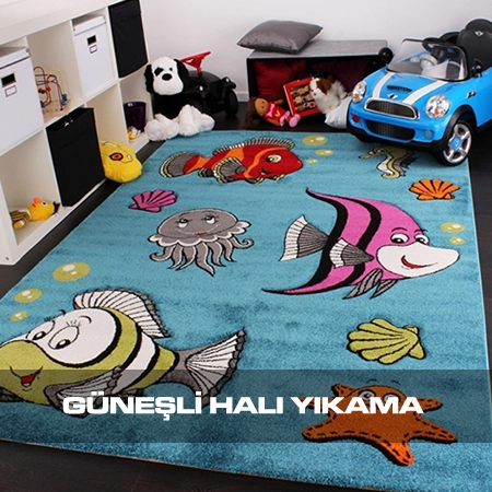 Güneşli Halı Yıkama